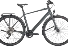 Photo of Bulls Urban Evo