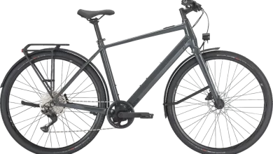 Photo of Bulls Urban Evo